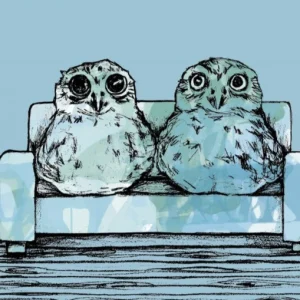 Ugler i sofaen