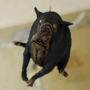 Flyvende hund - ulike varianter