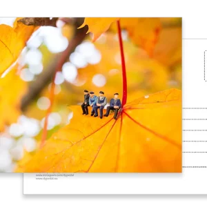 Enkle postkort fra Tiny People by Dypedal